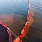 Woven Geotextile Silt Curtain PVC Floating Turbidity Curtain For Sea Environment
