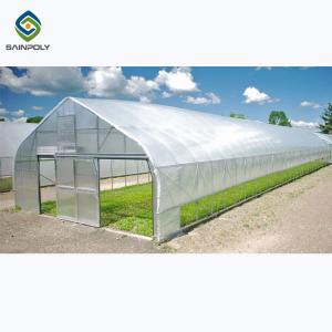 Quality Galvanized Steel Single Span PE Film Greenhouses For Agriculture wholesale