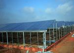Modern Multi Span Agricultural Greenhouse , Plastic Film Hydroponic Greenhouse
