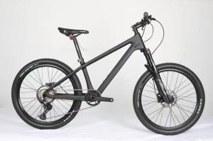 Quality 20er MTB Mountain Childrens Disc Brake Bikes Shimano 10 Speed wholesale