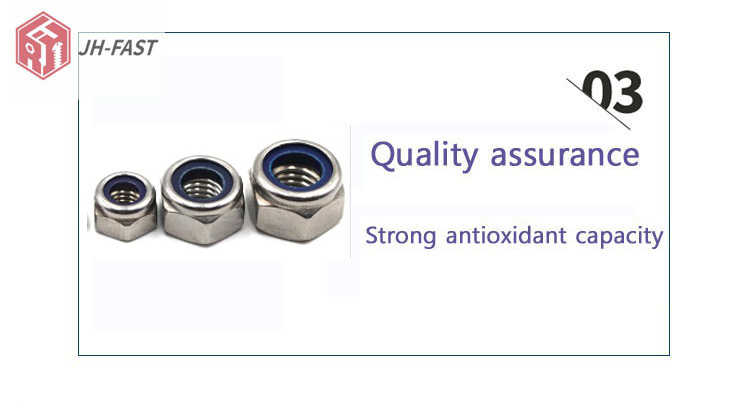 SS304 SS316 Stainless Steel Hex Nylon Lock Nut Brass Material M3 M4 M5 M6 M8 M10 DIN982 DIN985