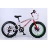 Buy cheap 198cm Height Lightest 26 Inch Electric Fat Bike from wholesalers