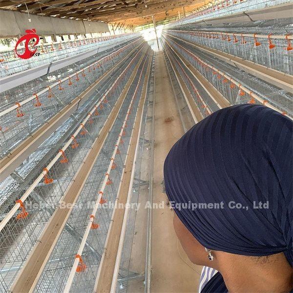 Galvanized Poultry Farm Layer Cage Battery Cage Price In Nigeria Lagos Warehouse