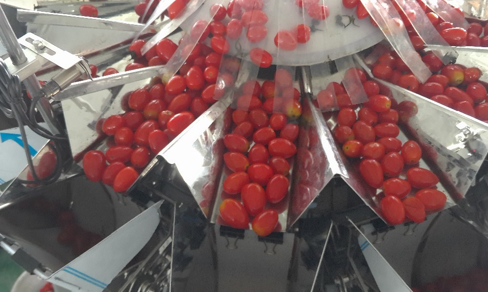 Vegetables Fruits Salad Plastic Container Packaging Machine