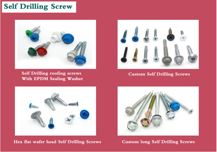 Self Drilling Screw with Phillips Head Metric Measurement and Stainless Steel Material