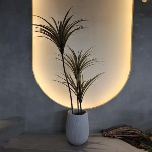 Quality Artificial Yucca Tree Faux Plant Insect Resistant Waterproof 160CM wholesale