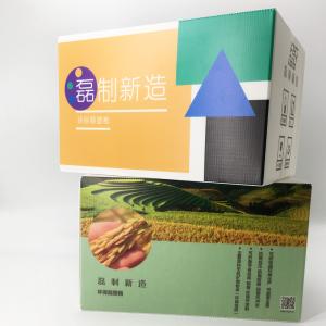 Quality 5.0mm Corrugated Plastic Storage Boxes Cold Adaption Pharmacy Packaging Carton wholesale