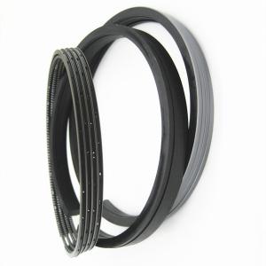 Quality High Standardly Piston Ring For Deutz Motor 1.9L R2 F2L912D 100.0mm 2.94+2+3 wholesale
