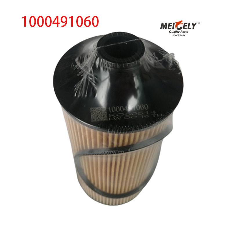 1000491060 FAW Jiefang J6PJH6 Truck Oil Filter
