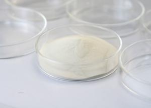Quality Lactase Food Grade Enzymes β-Galactosidase Digestive Aid Used For Oligogalactose Production wholesale
