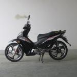 7500RPM CDI Ignition TR135-NF 135CC Cub Motorcycle