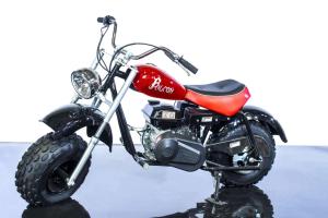 Quality 25MPH 6.5 Hp Dirt Bike wholesale