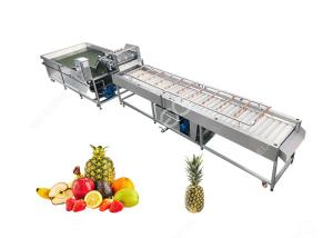Quality Large Output Pineapple Cleaning Machine Fruit Processing Equipment2T/H wholesale