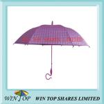 23" Fashion Stick 3D Poe Umbrella (WTP087)