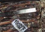 300g 400g BQF Whole Round A Grade Fresh Frozen Squid