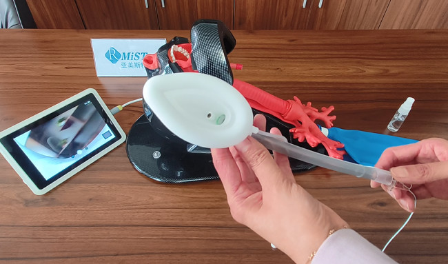 Disposible Video Stylet Silicone Video Double Lumen LMA Tube Airway With IPM