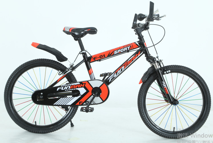 Customizable 20 Inch Kids Bicycle Big Boy Adult Road Bike Eco Friendly
