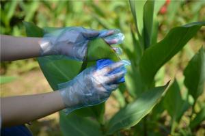 Quality Waterproof TPE Disposable Gloves For Food Processing wholesale