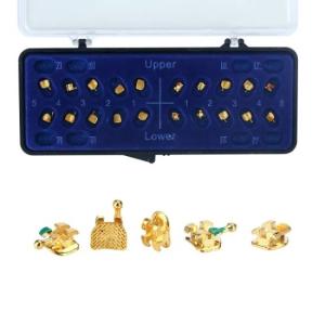 Quality Class II ALS Orthodontic Bracket Lingual Dental Golden Coated Brace Customized wholesale