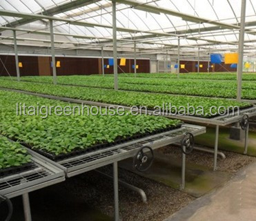 Film Covered Galvanized Greenhouse for Stable Structure and Vegetable Cultivation