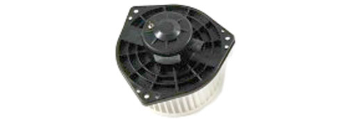 HH61255