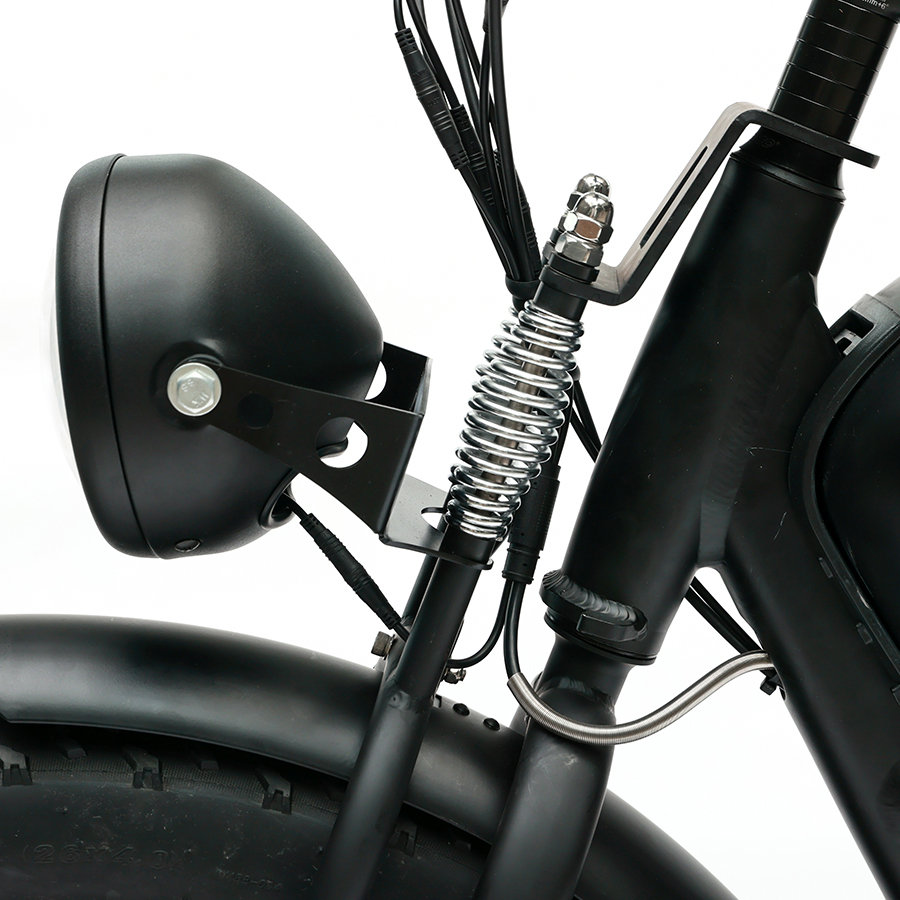 Long Range 48V 750W Rear Hub Motor Electric Motorbike with 48V 20Ah Lithium Battery