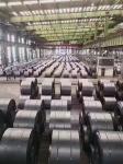 0.3 - 14mm Stainless Steel Hot Rolled Coil 1000mm With High Tenacity And