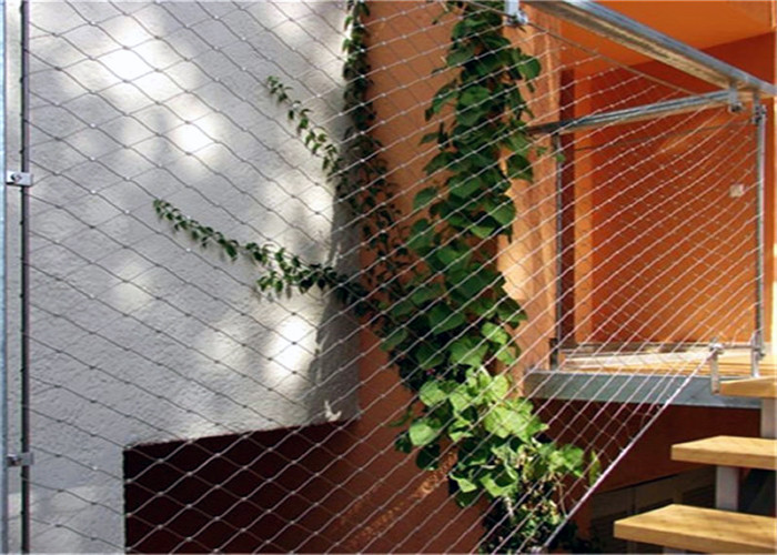 SS304 316 Wire Rope Plant trellis Climbing Stainless Steel Mesh