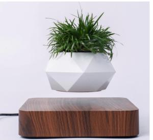 Quality factory manufacture flyte magnetic levitation floating air bonsai plant tree pot wholesale