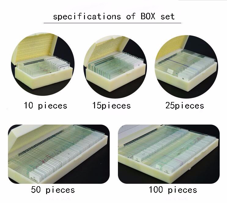 Prepared Medical Lab Research 15pcs Tissue Microscope Slides