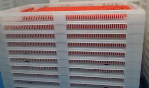 Quality White Food Grade Stackable Plastic Trays / Cooling Tray 762*495*55mm wholesale