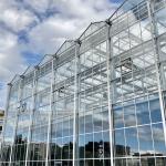 Multi-Span Greenhouse Duble Plate Glass Galvanized Greenhouse Structure Glass