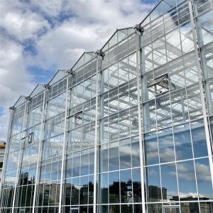 Quality Venlo Automated Plant Hydroponic Tempered Glass Greenhouse Multi Span Agricultural wholesale