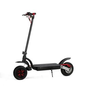 Quality 10 inch 700w dual motor 2 wheels folding electric scooter with double battery optional wholesale