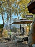 Starry Sky Outdoor Bubble Tent House Handy Installation Multifunctional Use