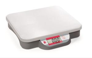 Quality Veterinary Weighing Bench Platform Scales Industrial Weight Bench 280 Mm X 316 Mm wholesale
