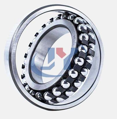 Double Row Self Aligning Radial Ball Bearing N310ETN1/Z2 Open Ball Bearing