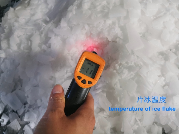 800KG/24H Automatic Commercial Ice Flake Machine