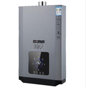 Quality Instant LP Gas Hot Water Heater For Bathroom 220V wholesale