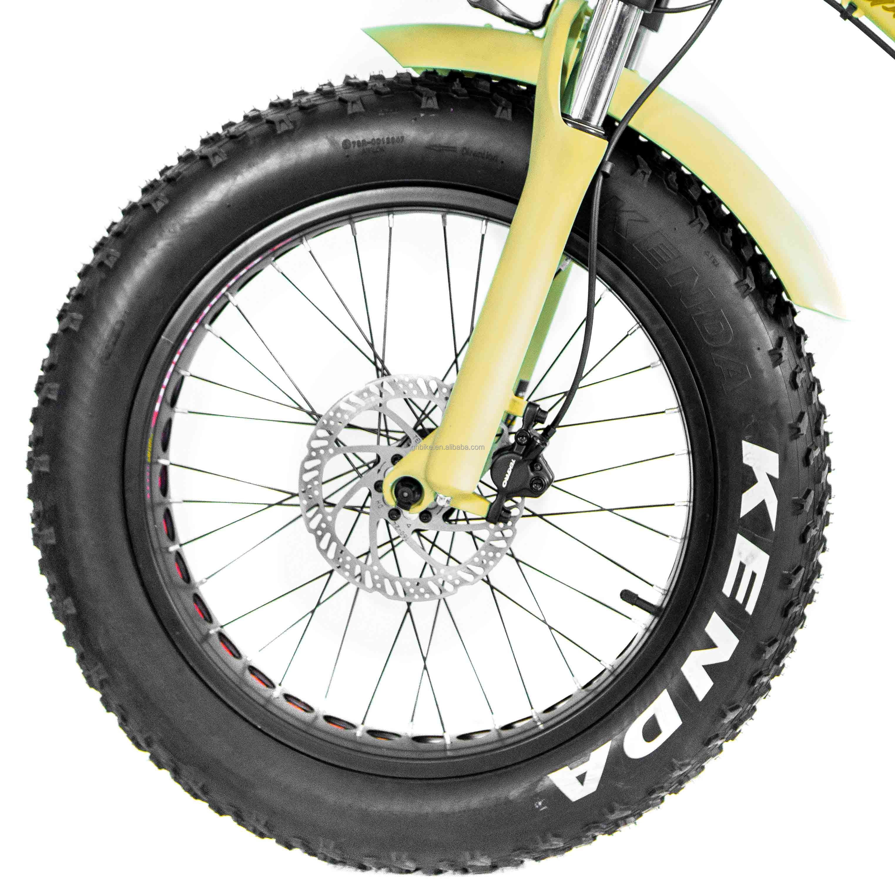 Aluminum Alloy Frame 48V34AH 1000W Fat Tire Ebike with Dual Batteries and Two Baskets