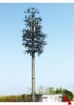 8m -13m Customized Telecommunications Towers In Residential Areas