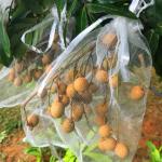 Popular Agriculture Yellow Hdpe Tubular Mesh Bags for Grapes Fruit Cover
