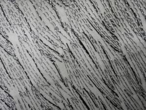 Quality Tulle Mesh Lurex Metallic Sequin Embroidery Fabric wholesale