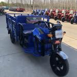 1000w Big Wheel Frame 800kg Electric Cargo Tricycle