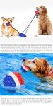 Double Suction Cup Squeaky Interactive Pet Toys Dog Teeth Cleaning Ball TPR ODM