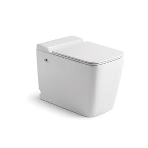 Quality Modern Pulse Tankless Toilet Floor Mounted WC For Bathroom wholesale