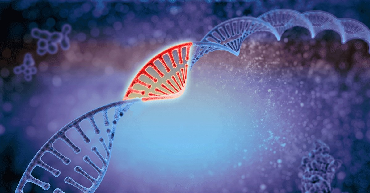 DNA Nucleotide Synthesizer Customized Primer Synthesis Machine