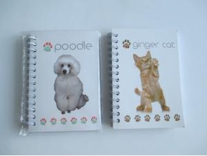 Quality Good quality competitive price hardcover offset printing wholesale school notebook wholesale