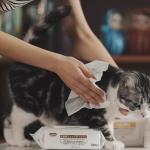 Cat And Dog Pet Eye Wet Wipes No Rinse Eye Tear Stain / Pet Safe Wet Wipes