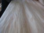 4’ x 8’ Radiata Pine Wood Veneer Sheet For Furniture, Door